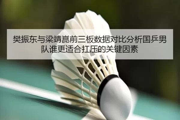 樊振东与梁靖崑前三板数据对比分析国乒男队谁更适合扛压的关键因素