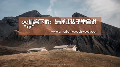 od体育下载:怎样让孩子学会说“不”(图4) od体育下载